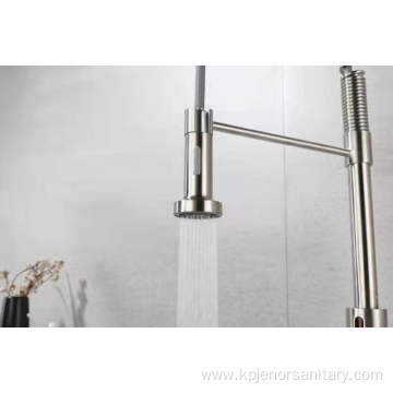 Pull Down Water Saving Spring Kitchen Faucet